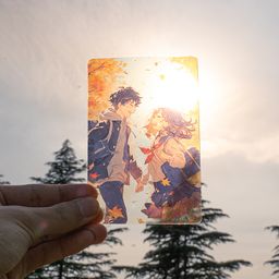 PET Transparent Card
