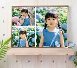 Framed Artwork – Imaging Grade (Non-Replaceable Image)